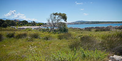 Babe Beach, Gaj, Novalja